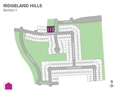 New construction Single-Family house 9243 Grace Ridge Dr, Willis, TX 77318 plan Redbud - image 14