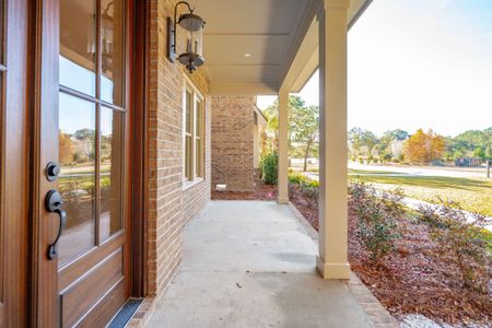 New construction Single-Family house 3820 Gnarled Oaks Ln, Johns Island, SC 29455 null- photo 6 6