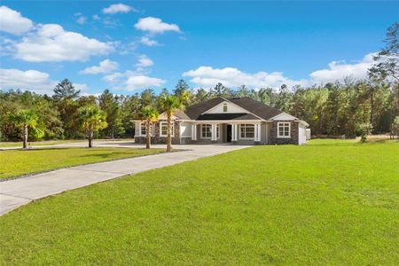 New construction Single-Family house 4430 Sw 177Th St, Ocala, FL 34473 - image