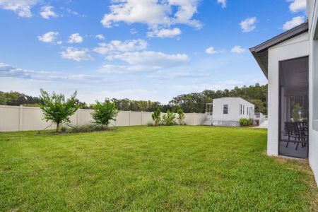 New construction Single-Family house 20014 Oriana Loop, Land O' Lakes, FL 34638 Coronado II- photo 70 70