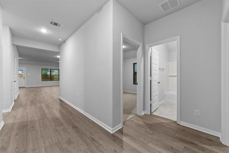New construction Single-Family house 519 Forest Haven Dr, Van Alstyne, TX 75495 Knollwood DEF- photo 12 12