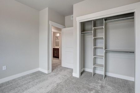 New construction Townhouse house 6248 Vernazza Wy, Windsor, CO 80550 plan Carolina - image 9