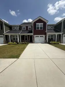 New construction Single-Family house 258 Selesia Ln, Pleasant View, TN 37146 - image