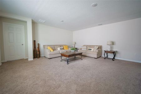 New construction Single-Family house 7917 Peace Lily Ave, Wesley Chapel, FL 33545 plan Valencia - image 9