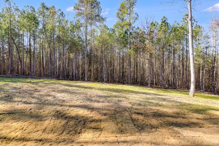 New construction Single-Family house 1010 Temple Draketown Rd, Temple, GA 30179 Whitshire- photo 62 62