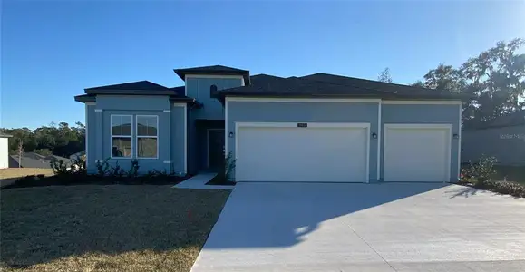 New construction Single-Family house 19444 Sw 78Th Pl, Dunnellon, FL 34432 Princeton- photo 0