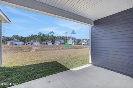 New construction Single-Family house 2264 Jennings Farm Dr, Middleburg, FL 32068 null- photo 10 10