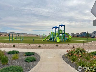 New construction Single-Family house 4711 Whistler Dr, Loveland, CO 80538 plan Kiowa - image 11