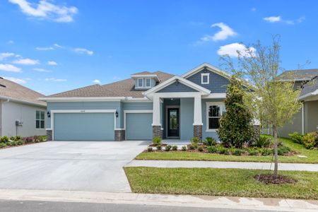 Waterset Cottage Series by David Weekley Homes in Apollo Beach - photo 32 32