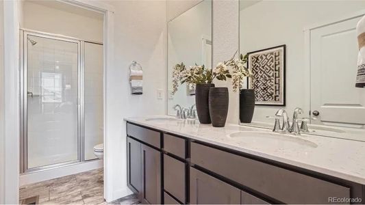 Vermilion Creek: The Parkside Collection 17