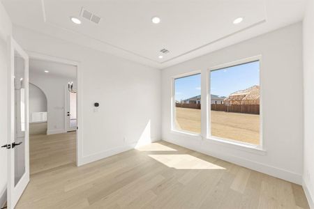 New construction Single-Family house 3209 Canonero St, Celina, TX 75009 - image 19