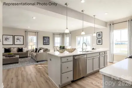 New construction Single-Family house 1909 Ab Moore Jr Rd, Indian Trail, NC 28079 - image