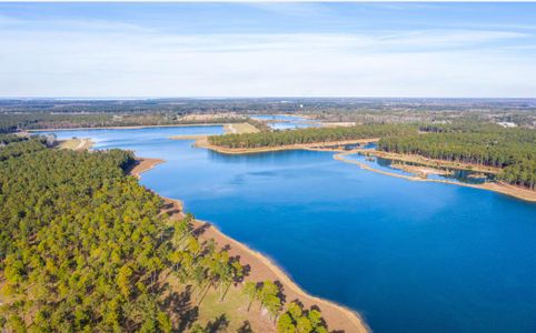 New construction Single-Family house 180 Belfort Pl, Summerville, SC 29486 HANOVER- photo 11 11