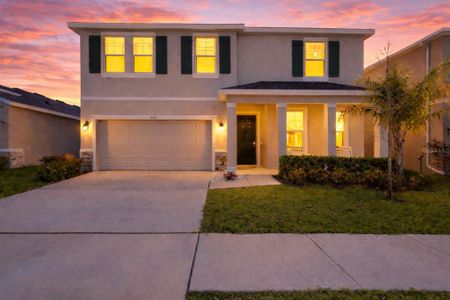 New construction Single-Family house 6199 Wandering Willow Dr, Wesley Chapel, FL 33545 - image