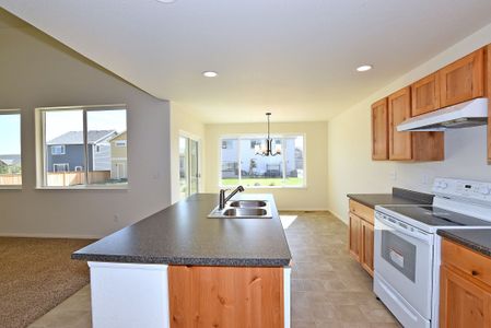 New construction Single-Family house 437 Vivid Ln, Windsor, CO 80550 null- photo 17 17