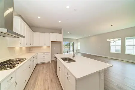 New construction Single-Family house 35563 Stableton Ln, Zephyrhills, FL 33541 plan Vinoy - image 3