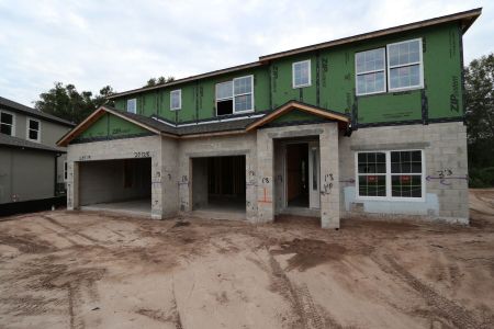 New construction Single-Family house 20125 Oriana Loop, Land O' Lakes, FL 34638 Santina II- photo 50 50