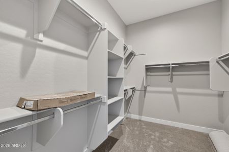 New construction Single-Family house 22441 E Cattle Dr, Queen Creek, AZ 85142 plan Seagrass - image 19