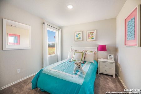 Greensfield: Watermill Collection by Lennar in San Antonio - photo 20 20