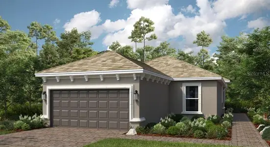 New construction Single-Family house 3908 Consolare Ct, Wesley Chapel, FL 33543 - image