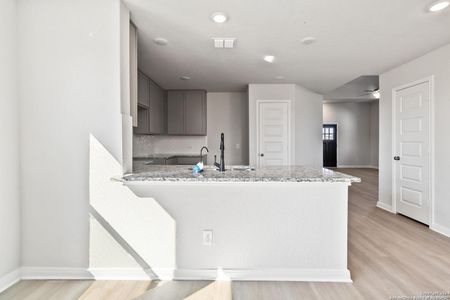 New construction Single-Family house 8554 Black Harrier, San Antonio, TX 78222 Telluride- photo 7 7