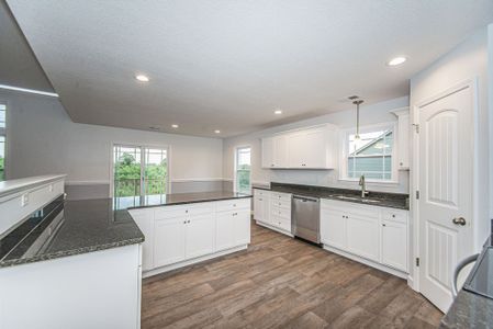 Mills Gin by Enchanted Homes in Campobello - image 8
