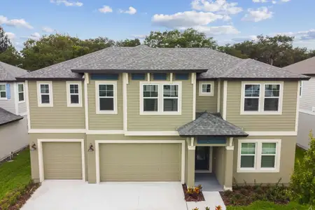 New construction Single-Family house 2682 Wise River Ln, Zephyrhills, FL 33541 plan Sebastian - image