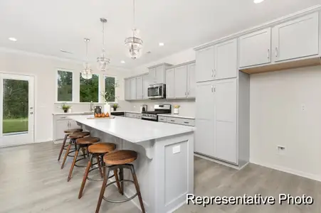 New construction Single-Family house 1027 House Finch Ave, Ravenel, SC 29470 plan The Jasper P - image