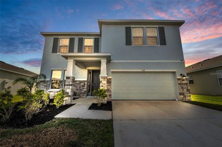 New construction Single-Family house 108 Bright Ibis Dr, Apollo Beach, FL 33572 - image