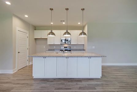 New construction Single-Family house 237 Creek Pointe Dr, Moncks Corner, SC 29461 plan Keeneland - image 5