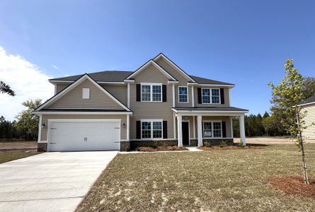 New construction Single-Family house Allenhurst, GA 31301 plan The Arcadia - image