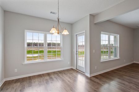 New construction Single-Family house Hinesville, GA 31313 plan The Marne With Bonus - image 18