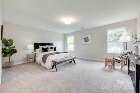 New construction Single-Family house 5305 Friendly Baptist Church Rd, Indian Trail, NC 28079 null- photo 22 22