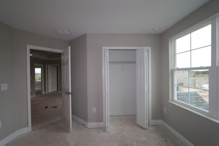 New construction Single-Family house 31236 Denham Ridge Ln, Wesley Chapel, FL 33545 Santa Monica- photo 118 118