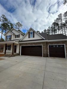 New construction Single-Family house 28941 Pinedale Ct, Wagram, NC 28396 - image
