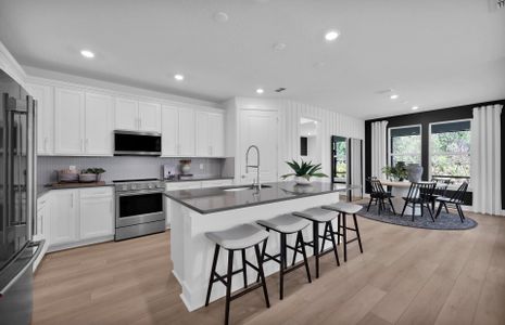 New construction Single-Family house 331 Fishtail Pl, Palm Coast, FL 32164 plan Mystique - image