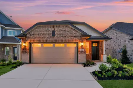 New construction Single-Family house 21515 Barnridge Ct, Waller, TX 77484 plan Silver Maple - image