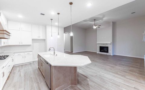 New construction Single-Family house 21218 Harbor Green Ln, Cypress, TX 77433 plan Malibu - image 3