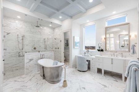 New construction Single-Family house 2320 Sorrelwood Ct, Celina, TX 75009 plan Amalfi - image 6