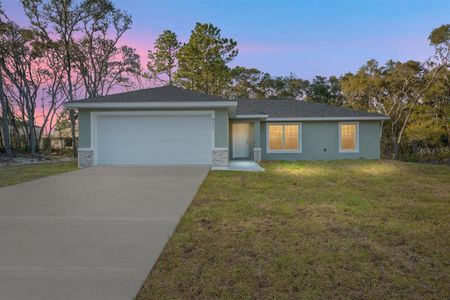 New construction Single-Family house 8442 N Tempest Dr, Citrus Springs, FL 34434 - image