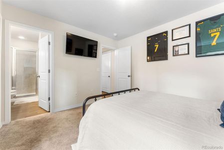 New construction Single-Family house 5269 Painted Sky Vw, Colorado Springs, CO 80916 - image 12