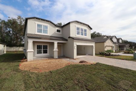 New construction Single-Family house 12008 Hilltop Farms Dr, Dade City, FL 33525 Alenza- photo 94 94