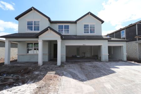 New construction Single-Family house 20264 Oriana Loop, Land O' Lakes, FL 34638 Santa Monica- photo 112 112