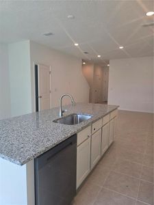 Delaney Reserve by Hartizen Homes in Deland - photo 11 11