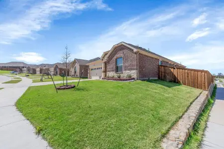 New construction Single-Family house 1321 Lazy Grove Dr, Anna, TX 75409 plan Allegro - image