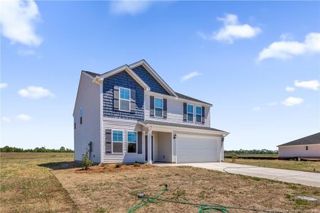 New construction Single-Family house 80 Coachman Ln, Autryville, NC 28318 - image