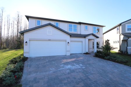 New construction Single-Family house 20125 Oriana Loop, Land O' Lakes, FL 34638 Santina II- photo 151 151