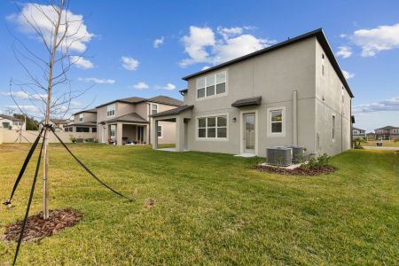 New construction Single-Family house 38433 Pindos Dr, Dade City, FL 33525 Mira Lago- photo 243 243