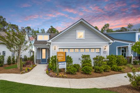 New construction Single-Family house 1517 Sunfish Wy, Bluffton, SC 29909 plan Hallmark - image