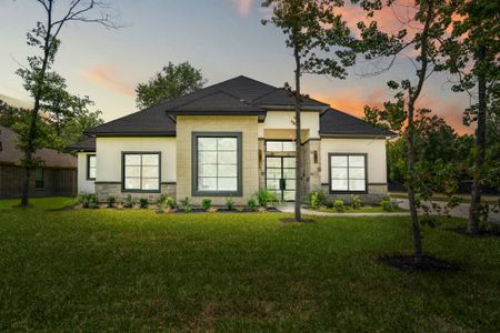 New construction Single-Family house 247 County Rd 66111, Dayton, TX 77535 - image